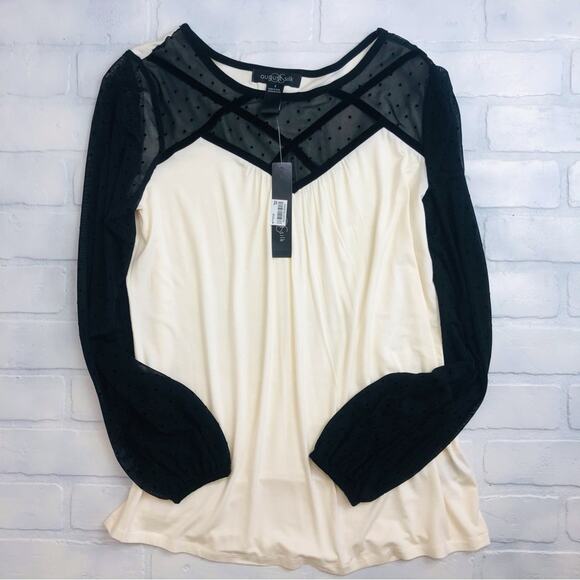 NWT August Silk Cream and Black Lace Top - Picture 13 of 16